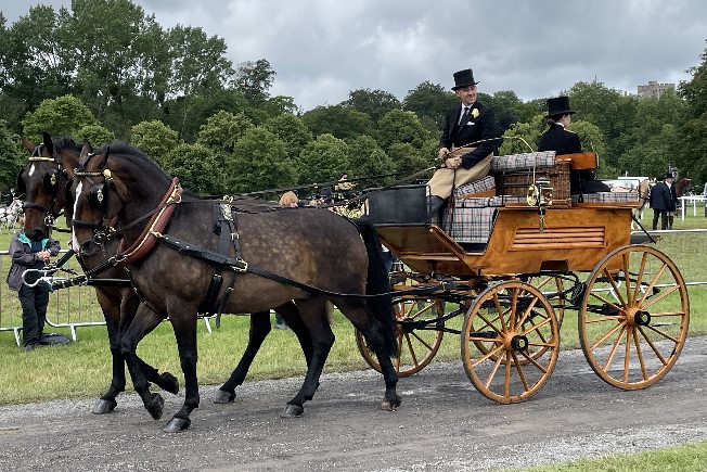 Matt Powers with the Balmoral Dog Cart