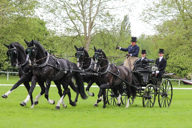 Boyd in the Dressage at Royal Windsor in 2023
