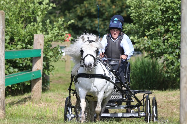 Anne Horobin in the Very Small Equine Class @ Sandringham Horse Driving Trials, June 2024