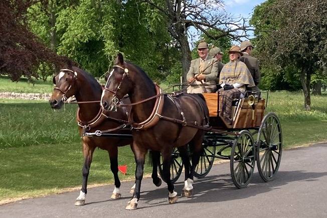 Ewan MacInnes with his pair of Lipizzaners