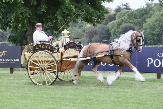 Horse, carriage and person trotting in field