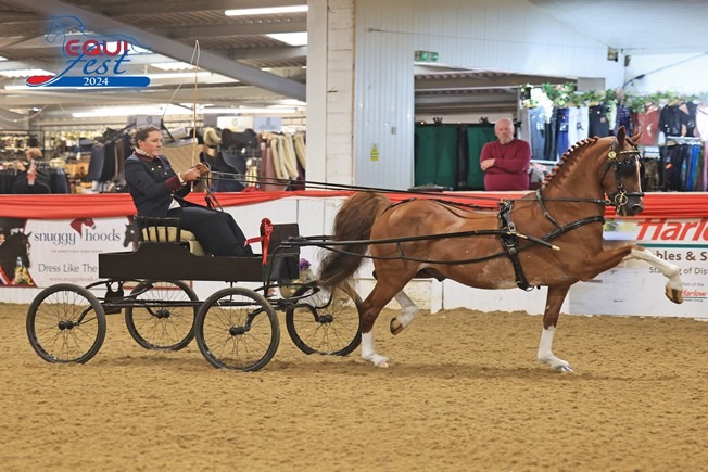 2. Nutfields the Contender to a viceroy with Leah