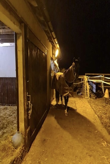 Flexible stable door arrangements to top sand turnout area