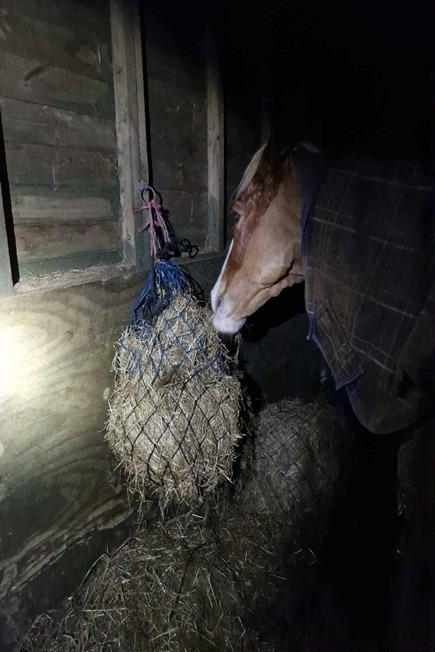 Inside top field shelter at night