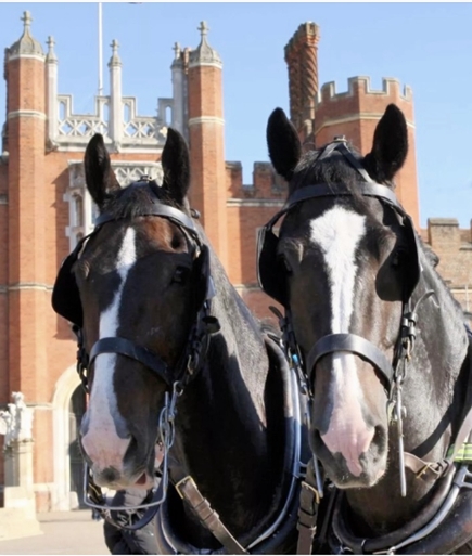 Legend & Watty at Hampton Court
