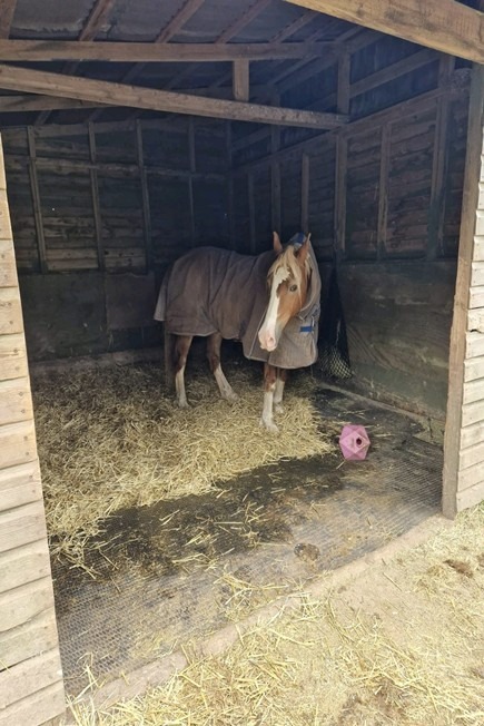 Top field shelter being enjoyed