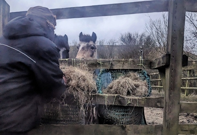 Keeping nets on the bottom turnout arena filled