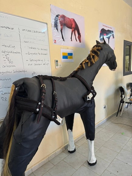 Brooke April 2026 #10