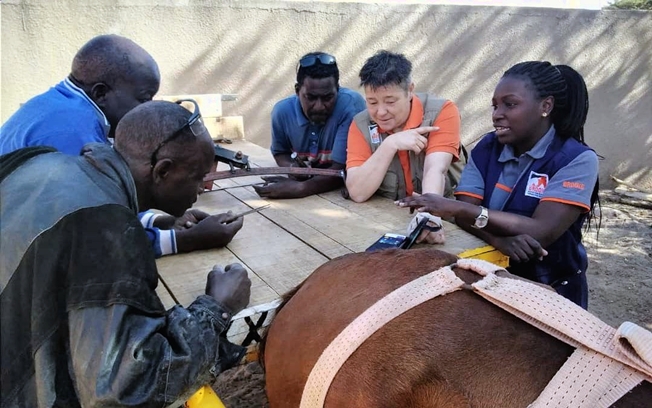 Brooke April 2026 #11