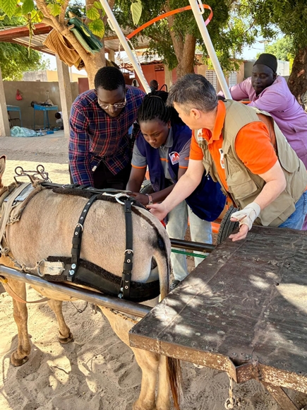 Brooke April 2026 #13