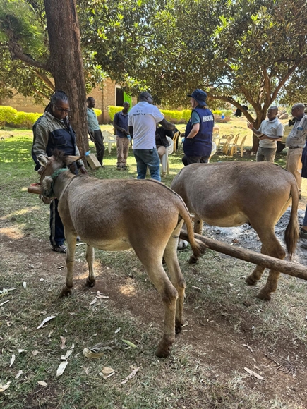 Brooke April 2026 #16