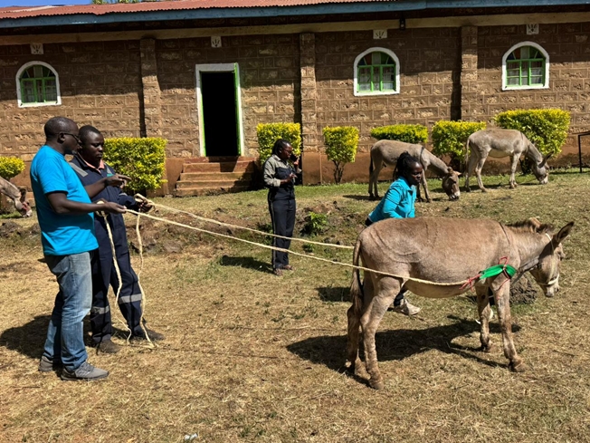 Brooke April 2026 #18