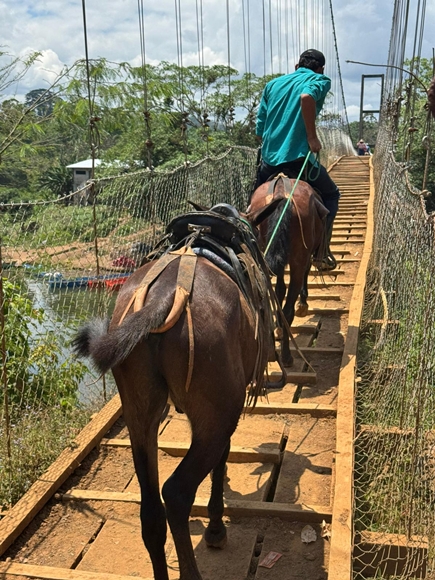 Brooke April 2026 #19