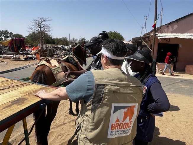 Brooke April 2026 #2