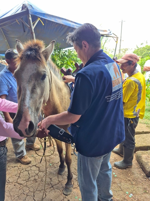 Brooke April 2026 #20