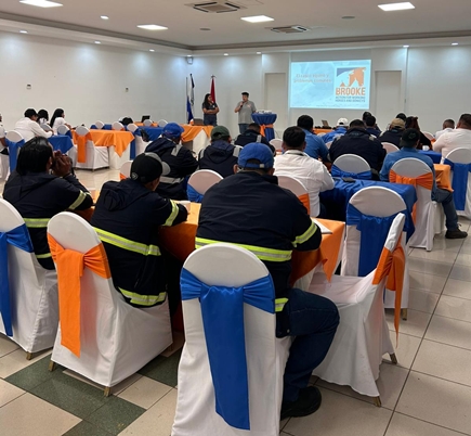 Brooke April 2026 #21