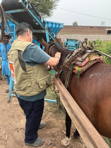 Brooke April 2026 #3