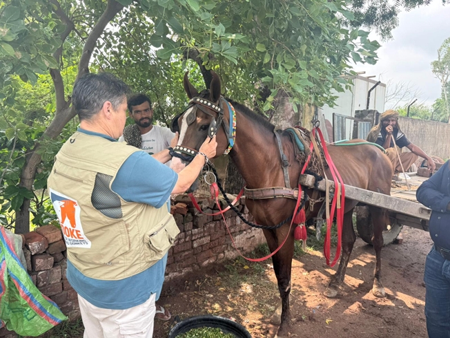 Brooke April 2026 #4