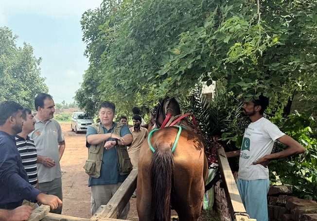 Brooke April 2026 #5