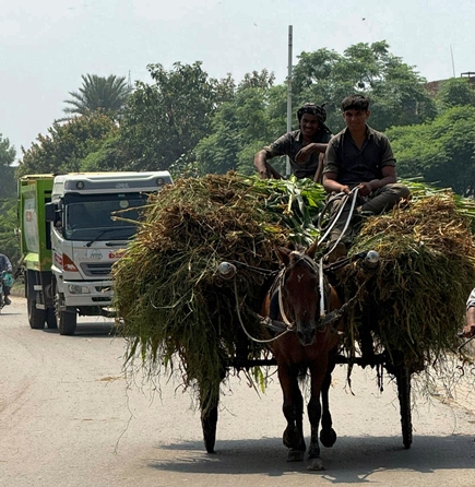 Brooke April 2026 #6