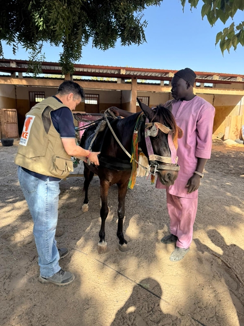 Brooke April 2026 #8