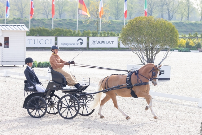 Cath Brockie in the dressage