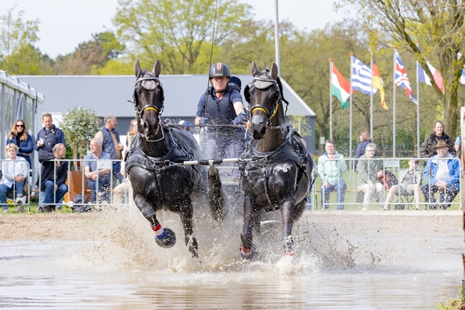 Chris Smith on the marathon