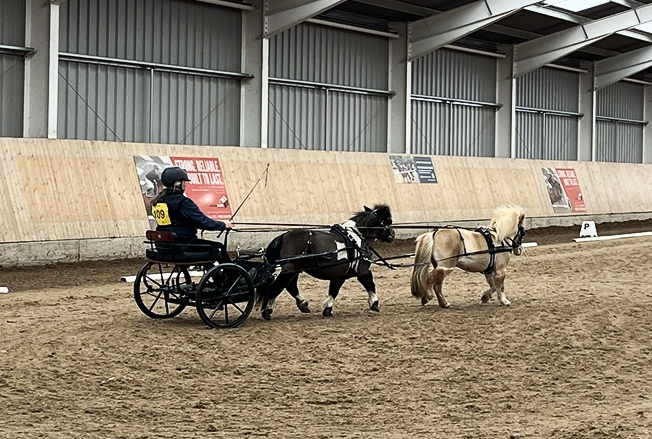 Jackie Pringle in the P & P with her tandem