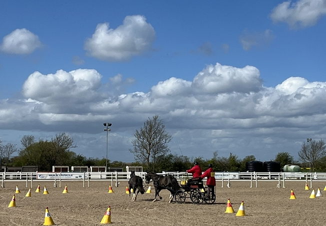Veteran tandem driver Tommy Weaver in the cones