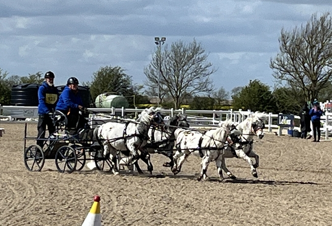 Claire Bourne in the pony team class