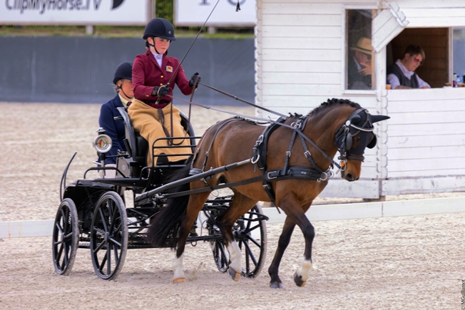 Sophia Routledge in the dressage with her aunt Anna Grayston sitting behind