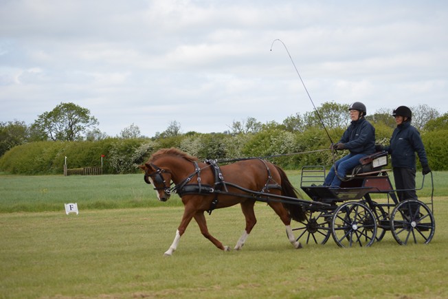 Ginny Hanbury in dressage