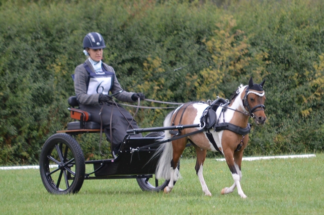 Lucy and Didi at her first 2-day event. Credit Kingswood Associates