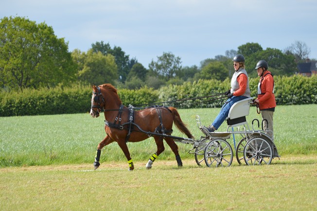 Jeanie Jordan in dressage