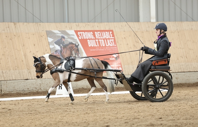 Lucy and Didi take the top spot in Precision & Paces at the 2026 Indoor Driving Finals