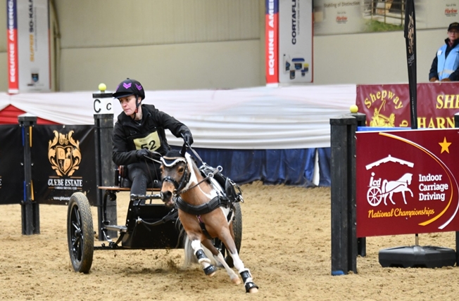 Lucy and Didi fly the obstacles. Credit ATG Photography