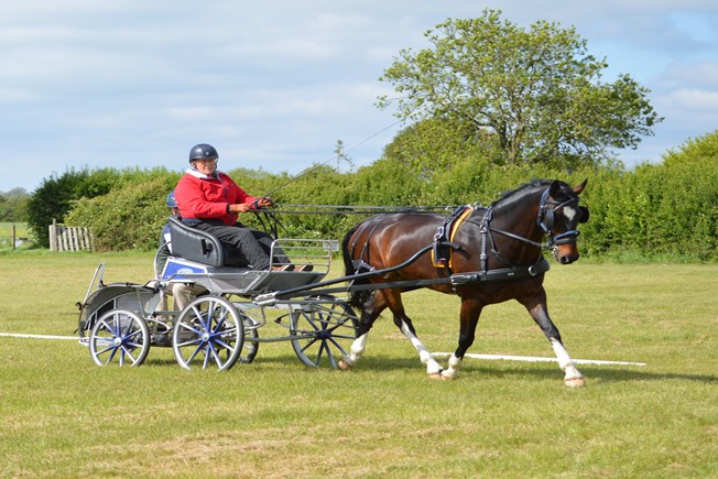 Julie Down in dressage