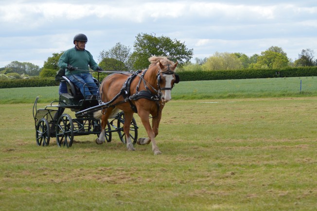 Steve Trebble in dressage