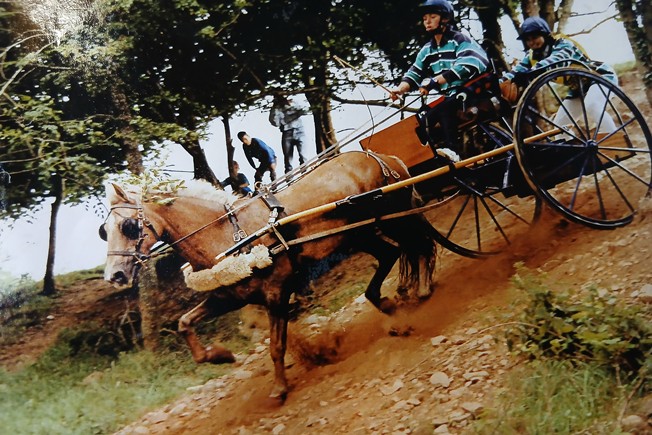 Sara Clinghan competing with Just Honey 1980s