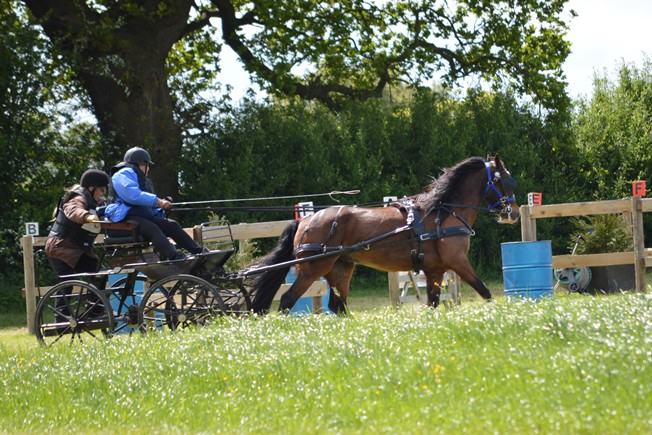Joanne Pitts in Obstacle 3
