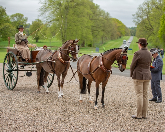 Tandem and best rein handling winner, Joyce Simpson