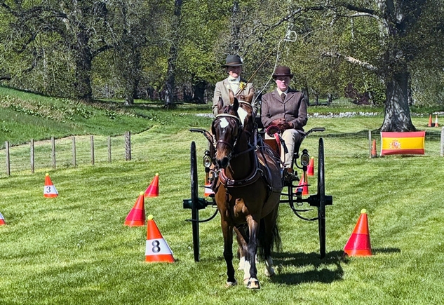 Joyce Simpson during the cones