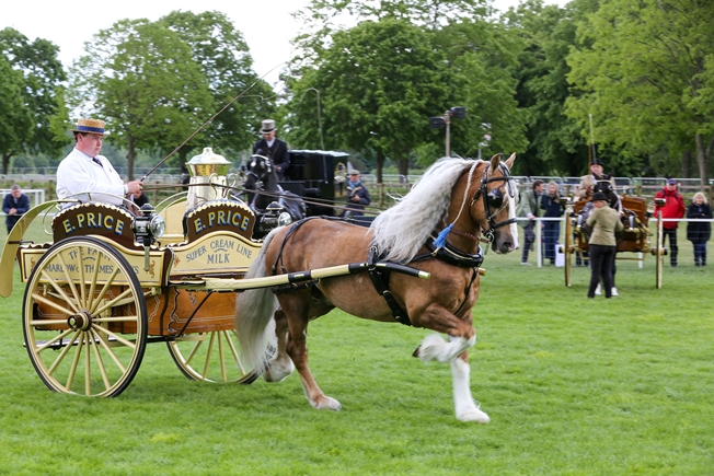 John Henry White with Gold Top and the Eddie Price Milk Float, Light Trade winners 2026