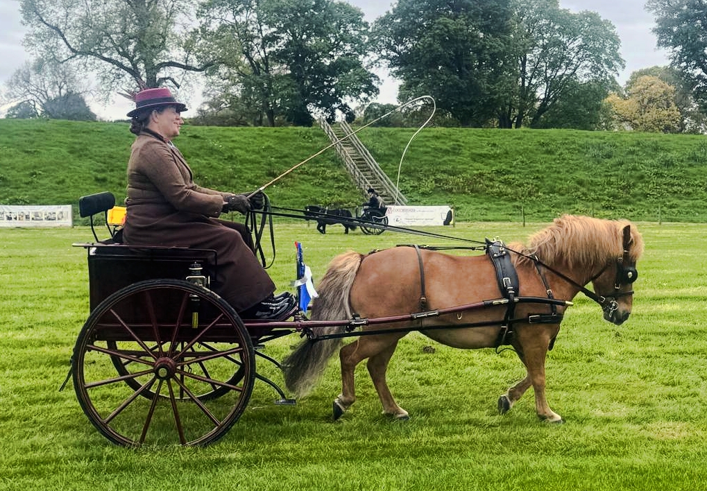Laura Chaffe, reserve overall champion and winner of the VSE section