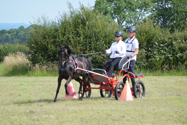 Sandra White in small equine