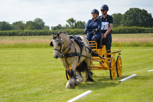 Pippa Haram in Novice Pony