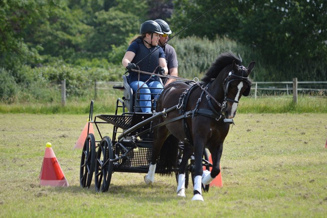 Evie Rockall in the novice pony class