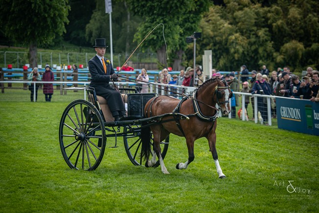 Charlie Parker King, winner of the under 13.2 hh class