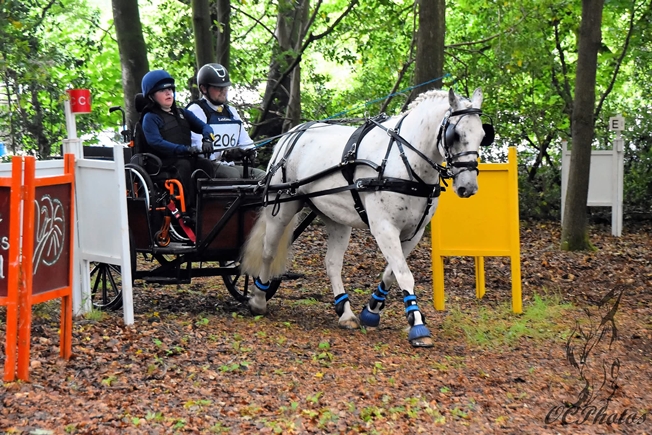 James Hare Pre-Novice